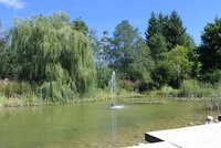 Wasserfontäne im Teich im Kurpark Oy