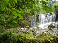 Wasserfall_Tobel_Oy-Mittelberg